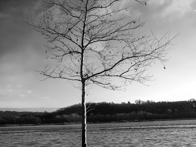 Calm water ripples with ice blue reflection